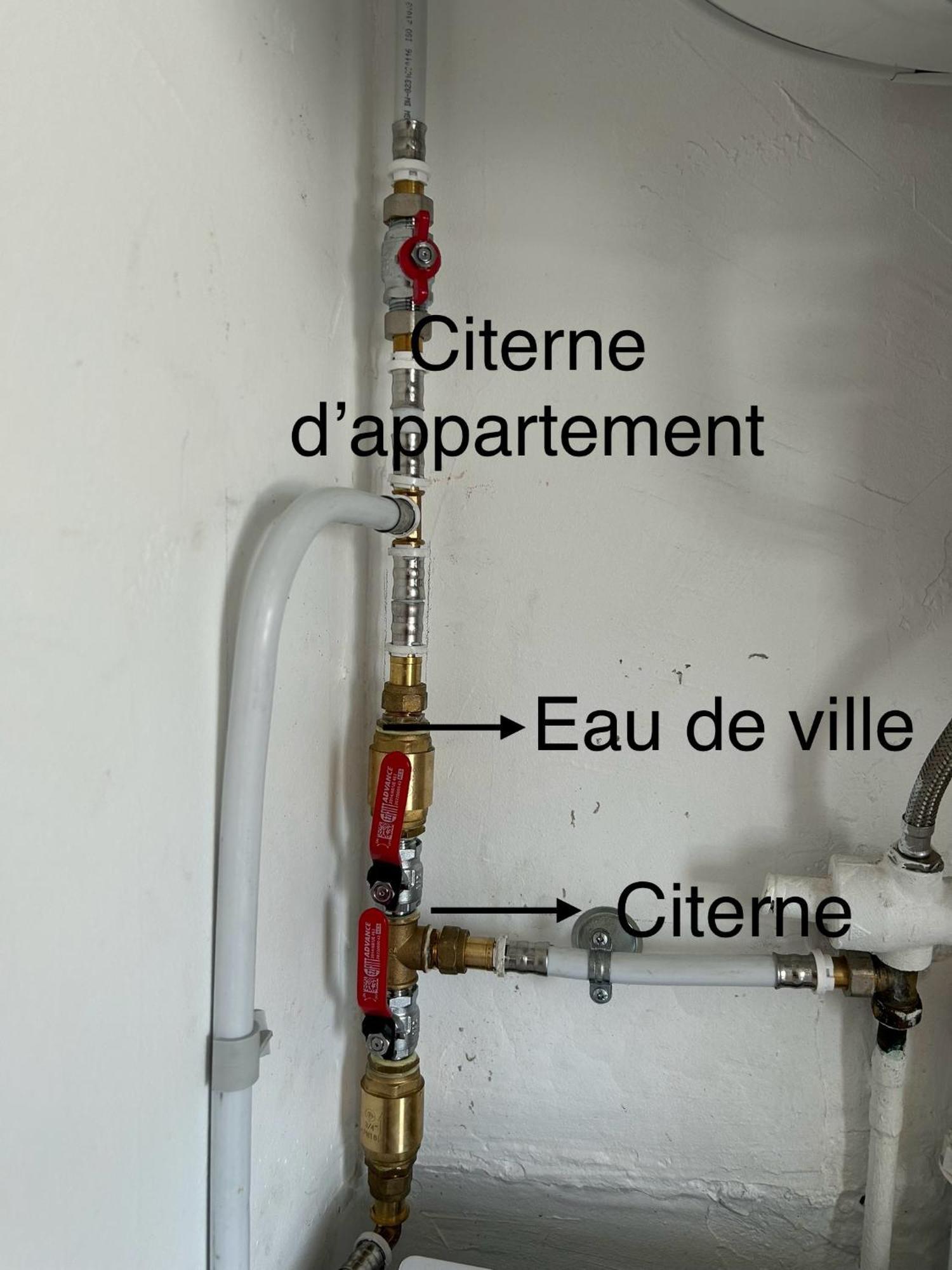 Appartement Avec Vue Panoramique De Pointe-A-Pitre Eksteriør billede